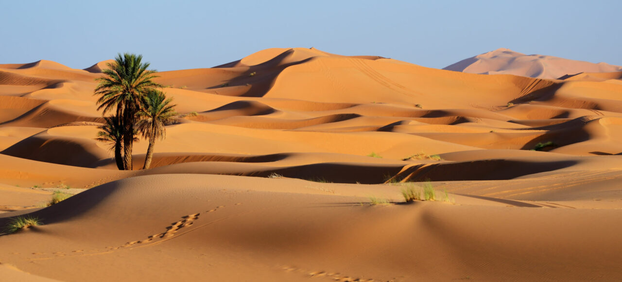 Sahara Desert