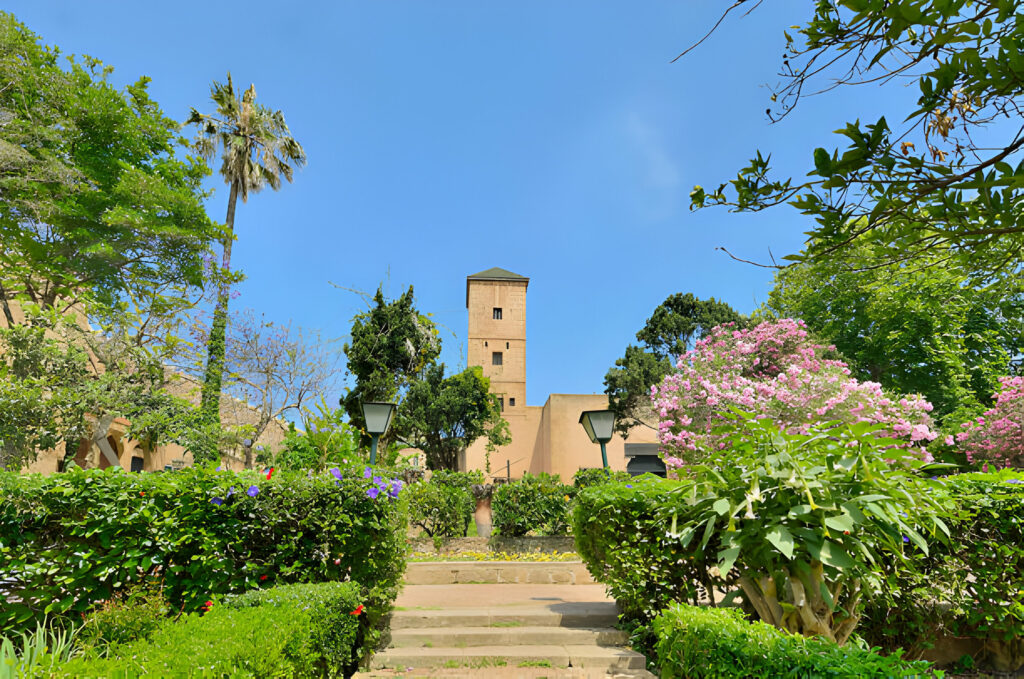 Moroccan Gardens & Botanical Wonders
